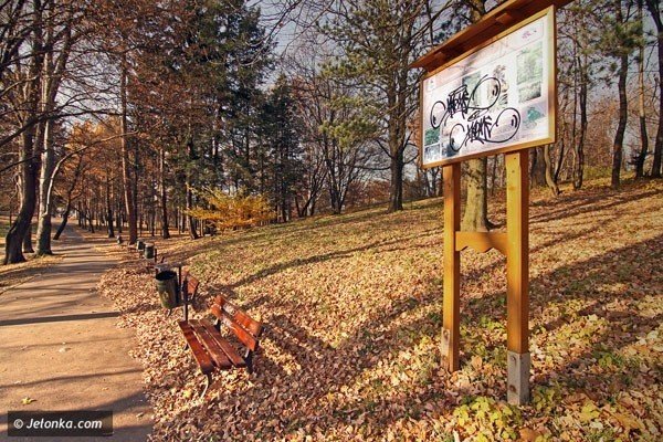 remont-dydaktycznej-sciezki-na-wzgorzu-kosciuszki-39744