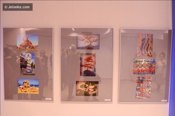 seniorzy-pokazali-swiat-w-obiektywie-w-nowej-galerii-na-gorze-39814