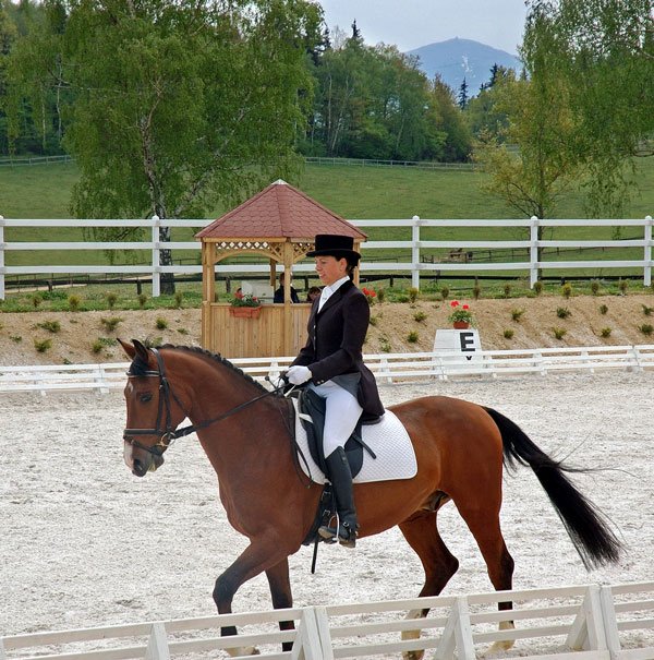 gracje-w-siodle-3986