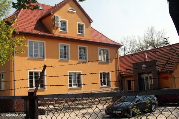 pip-bez-kolczastego-drutu-39885