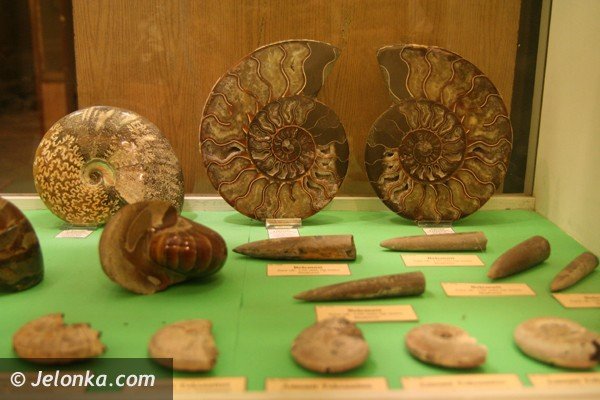 warto-zajrzec-do-tego-muzeum-39897