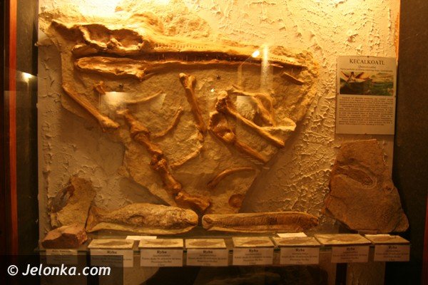 warto-zajrzec-do-tego-muzeum-39897