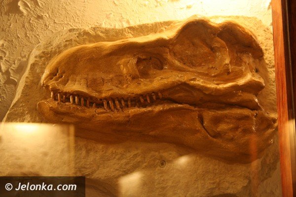 warto-zajrzec-do-tego-muzeum-39897