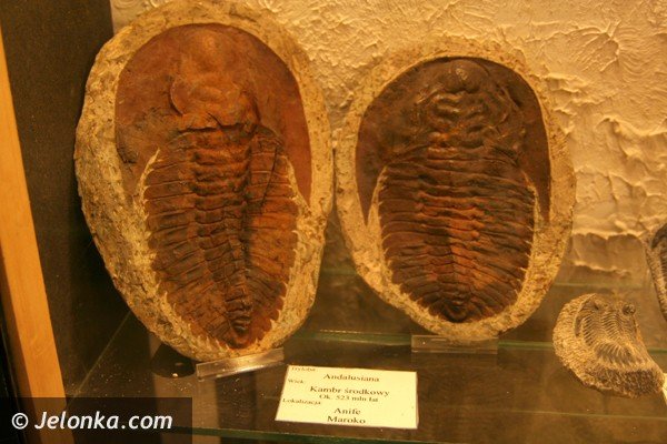 warto-zajrzec-do-tego-muzeum-39897