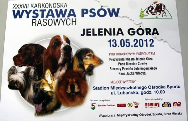 xxxvii-karkonoska-wystawa-psow-rasowych-40008