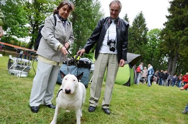 skakay-szczekay-i-apy-grzecznie-podaway-psiaki-zaprezentoway-sie-pieknie-40067