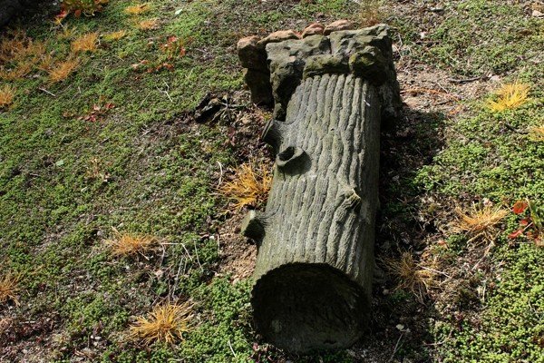zabytkowa-nekropolia-w-strasznym-stanie-wkrotce-to-sie-zmieni-40381