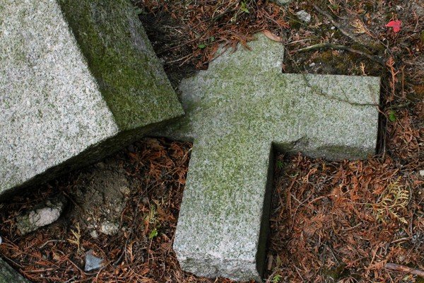 zabytkowa-nekropolia-w-strasznym-stanie-wkrotce-to-sie-zmieni-40381