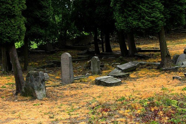 zabytkowa-nekropolia-w-strasznym-stanie-wkrotce-to-sie-zmieni-40381