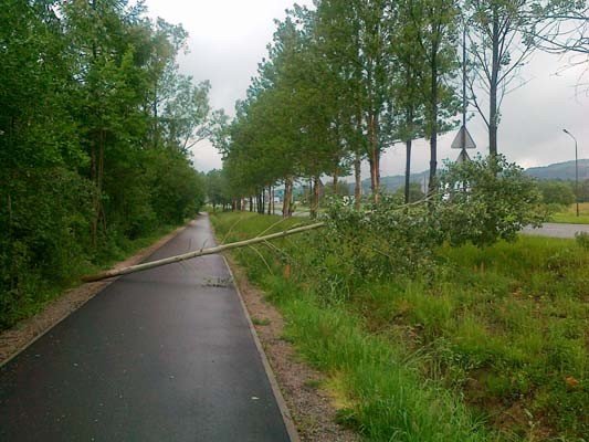 drogi-rowerowe-do-przegladu-40435