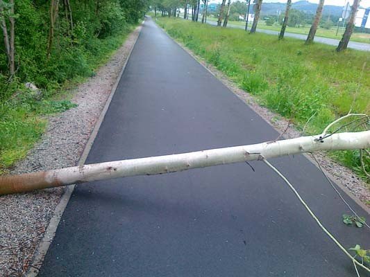 drogi-rowerowe-do-przegladu-40435