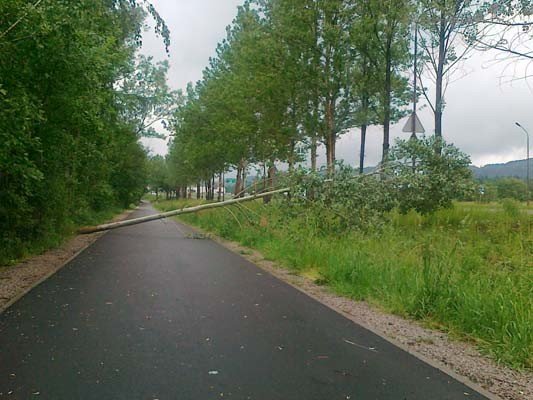 drogi-rowerowe-do-przegladu-40435