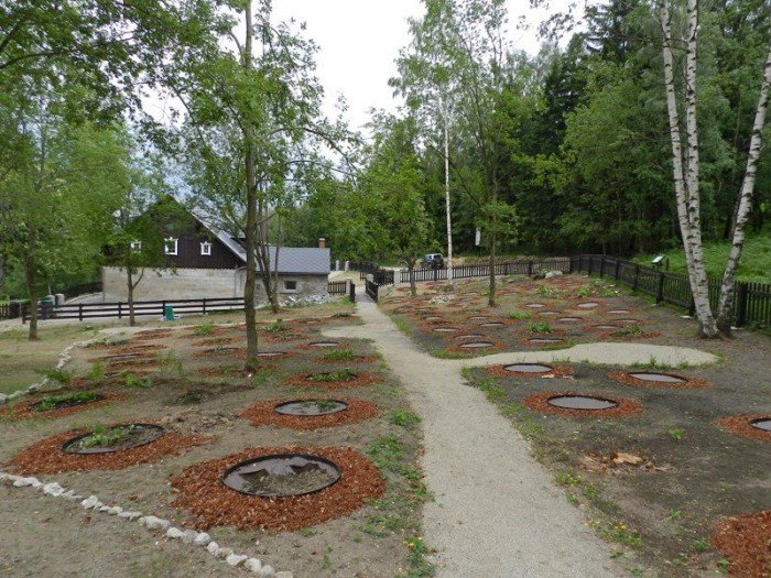 powstanie-ogrod-zio-i-krzewow-karkonoskich-40511