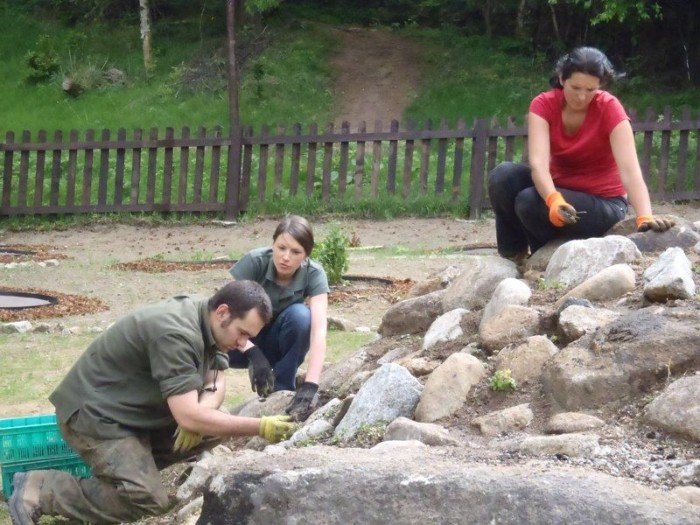 powstanie-ogrod-zio-i-krzewow-karkonoskich-40511
