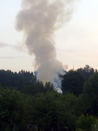 przy-krakowskiej-znow-poney-altany-policja-szuka-sprawcow-40533