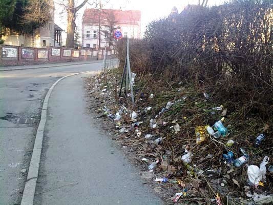 ale-brudno-wszechobecne-smieci-maja-zniknac-czy-skutecznie-foto-40626