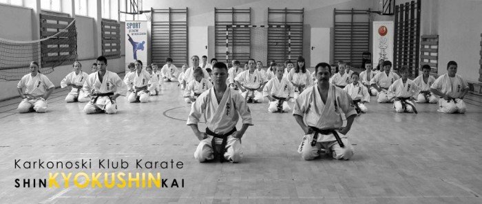 egzamin-w-karkonoskim-klubie-karate-shinkyokushinkai-40690