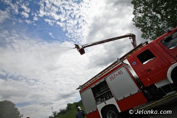 trzecie-lemowisko-udao-sie-swietnie-foto-40695