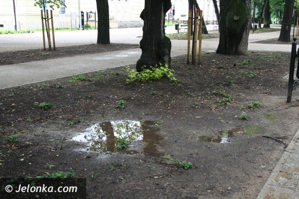 kiedy-park-zdrojowy-bedzie-wyglada-jak-powinien-foto-40756