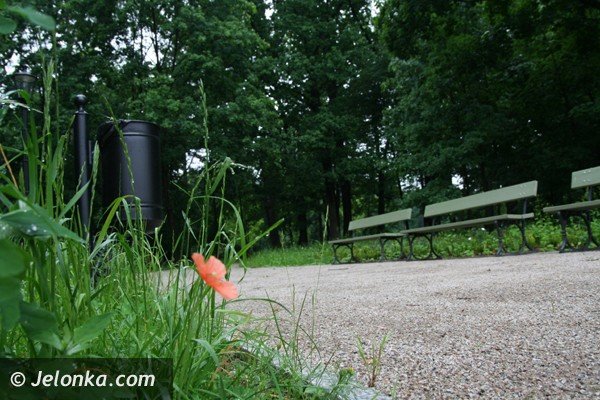 kiedy-park-zdrojowy-bedzie-wyglada-jak-powinien-foto-40756