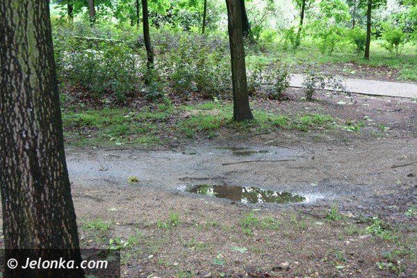 kiedy-park-zdrojowy-bedzie-wyglada-jak-powinien-foto-40756