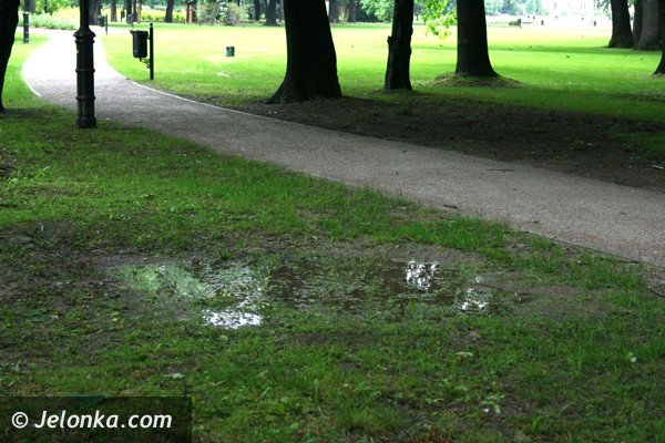 kiedy-park-zdrojowy-bedzie-wyglada-jak-powinien-foto-40756