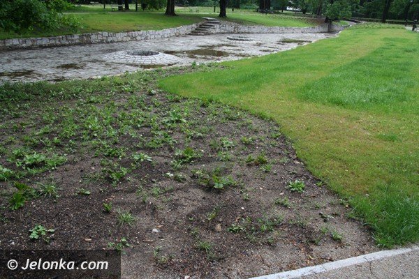 kiedy-park-zdrojowy-bedzie-wyglada-jak-powinien-foto-40756