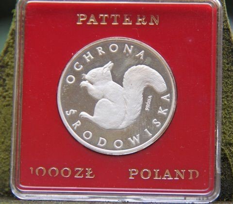 wystawa-wiewiorek-otworzy-dzis-karpaczanskie-centrum-kultury-i-turystyki-40765