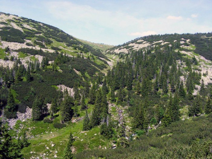 odkrywali-tajemnice-czeskich-karkonoszy-foto-40769