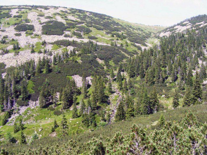 odkrywali-tajemnice-czeskich-karkonoszy-foto-40769