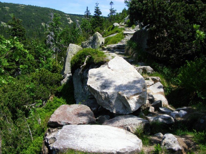 odkrywali-tajemnice-czeskich-karkonoszy-foto-40769