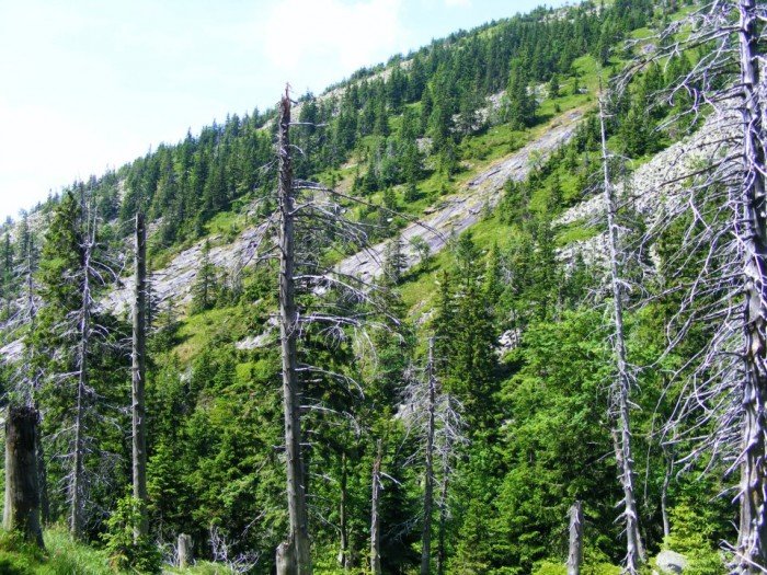 odkrywali-tajemnice-czeskich-karkonoszy-foto-40769