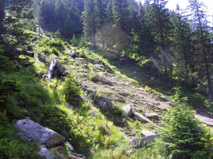 odkrywali-tajemnice-czeskich-karkonoszy-foto-40769