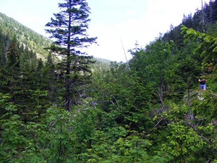 odkrywali-tajemnice-czeskich-karkonoszy-foto-40769