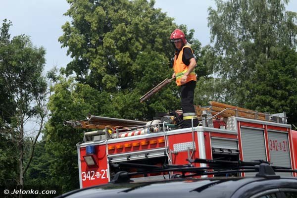 kolizja-w-radomierzutrzy-auta-mocno-uszkodzone-ruch-odbywa-sie-wahadowo-foto-40854