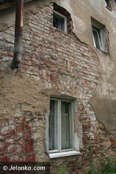 zabija-nas-grzyb-alarmuje-jeleniogorzanin-wychowujacy-samotnie-dwie-coreczki-40880