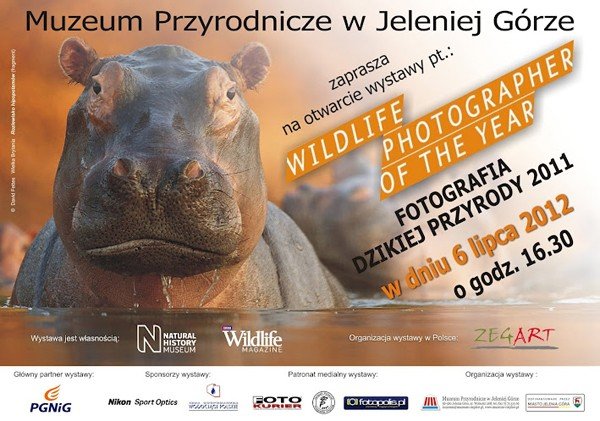 najpiekniejsze-fotografie-przyrody-w-cieplicach-40883