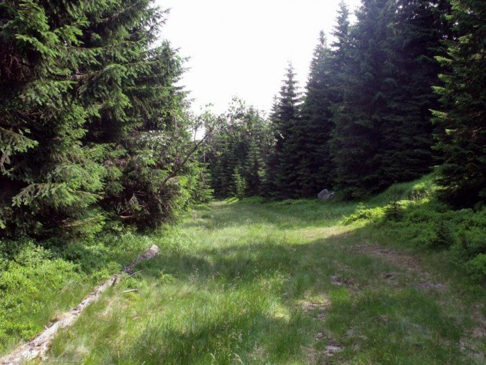 czeska-aba-miejsce-ktore-warto-odwiedzic-foto-40888
