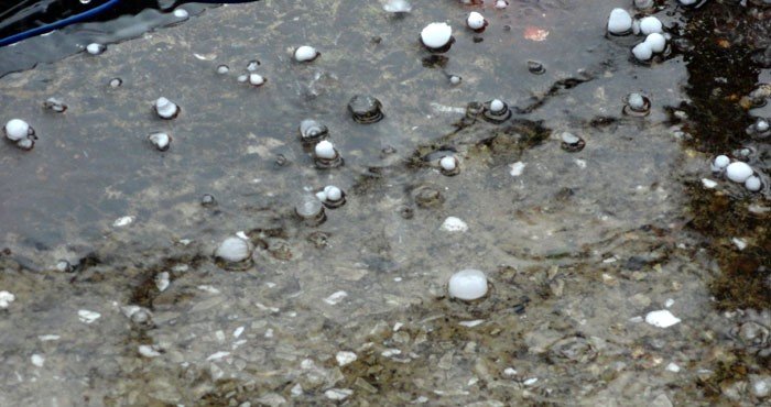po-nawanicy-podtopienia-najwieksze-w-maciejowej-foto-40925
