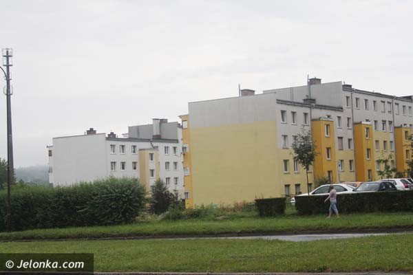 zarosniete-i-zaniedbane-zabobrze-foto-40970