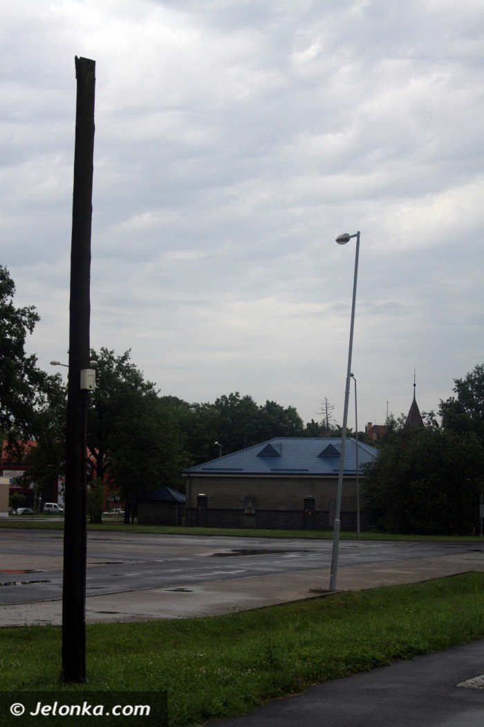zarosniete-i-zaniedbane-zabobrze-foto-40970