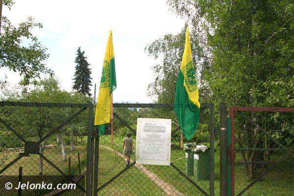 zostawcie-nam-nasze-ogrody-apeluja-dziakowcy-boja-sie-ze-straca-swoj-azyl-foto-40979
