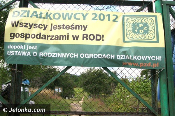 zostawcie-nam-nasze-ogrody-apeluja-dziakowcy-boja-sie-ze-straca-swoj-azyl-foto-40979