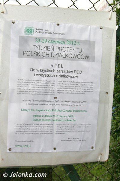 zostawcie-nam-nasze-ogrody-apeluja-dziakowcy-boja-sie-ze-straca-swoj-azyl-foto-40979