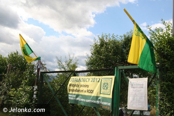 zostawcie-nam-nasze-ogrody-apeluja-dziakowcy-boja-sie-ze-straca-swoj-azyl-foto-40979