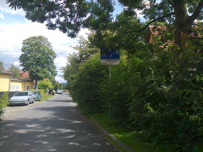 czytelnicy-w-miescie-zarastaja-znaki-drogowe-foto-41054