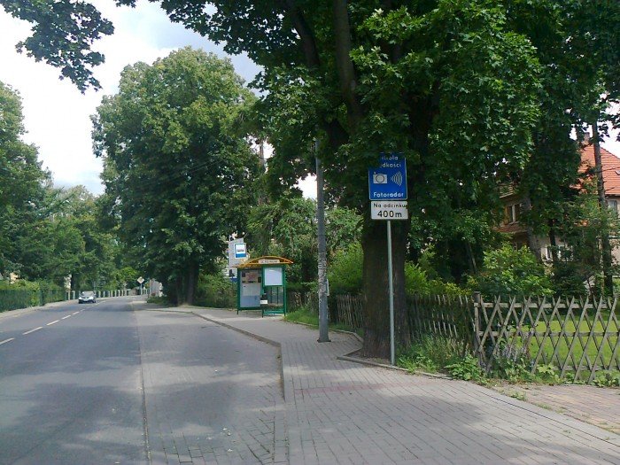 czytelnicy-w-miescie-zarastaja-znaki-drogowe-foto-41054