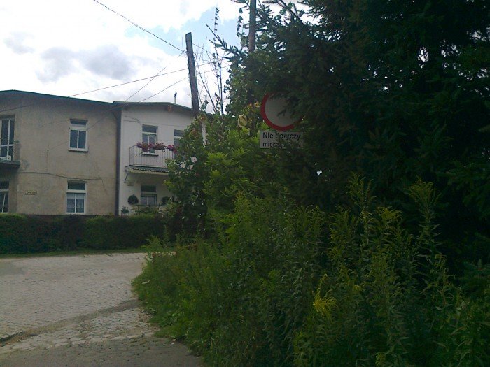 czytelnicy-w-miescie-zarastaja-znaki-drogowe-foto-41054