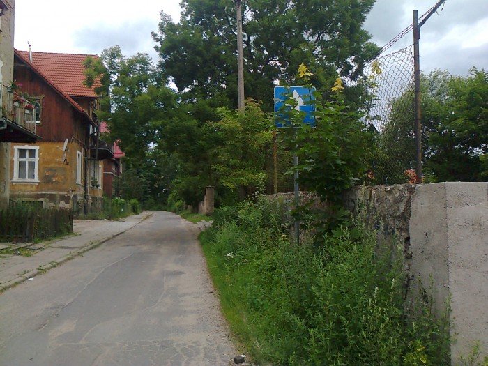 czytelnicy-w-miescie-zarastaja-znaki-drogowe-foto-41054
