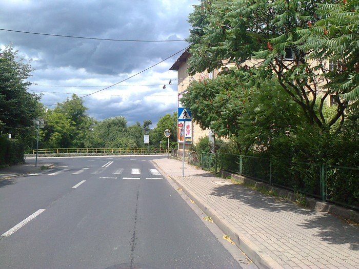 czytelnicy-w-miescie-zarastaja-znaki-drogowe-foto-41054